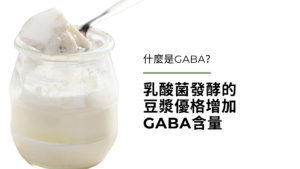 什麼是GABA？乳酸菌發酵的豆漿優格增加GABA含量
