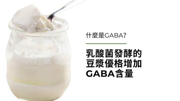什麼是GABA?乳酸菌發酵的豆漿優格增加GABA含量