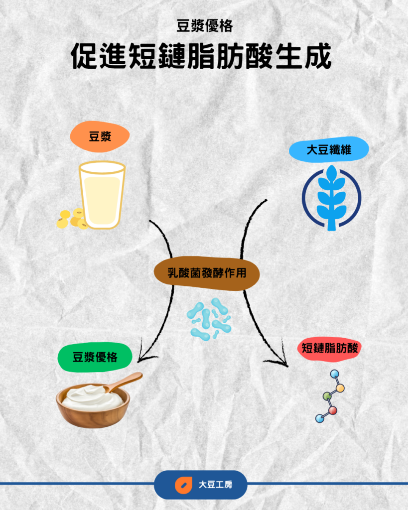 豆漿優格促進短鏈脂肪酸生成